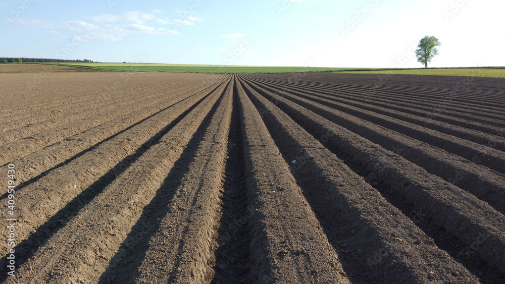 Potato plot photographed with a drone Potato plot photographed with a drone