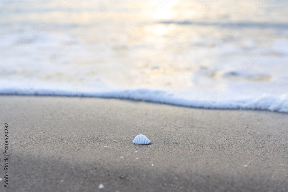 Selective Focus of sandy beach, small seashell swept by a wave on the mediterranean sea coast at sunset in Antalya Turkey. Holiday, Travel and Vacation Concept. Selective Focus of sandy beach, small seashell swept by a wave on the mediterranean sea coast at sunset in Antalya Turkey. Holiday, Travel and Vacation Concept.