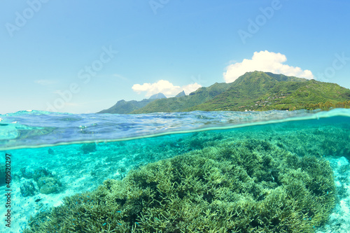 Tableau sur toile Lagon bleu turquoise de moorea - Polynesie Francaise - photo mi air mi eau