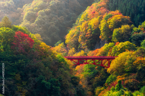 Canvastavla Beautiful Autumn scenery mountain and red bridge over the valley at Takamura Vil