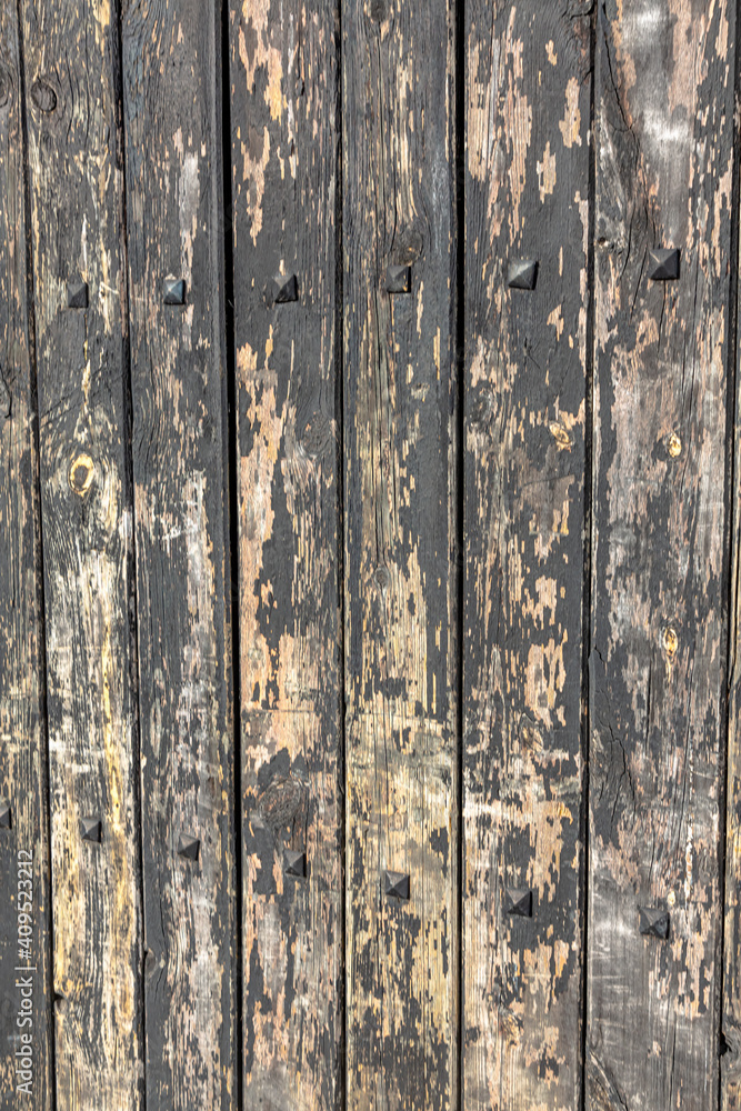 Fototapeta premium Background an old tree covered with peeling black paint