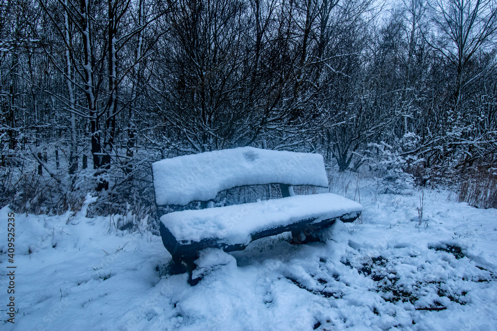 Foto snow covered bench in forest