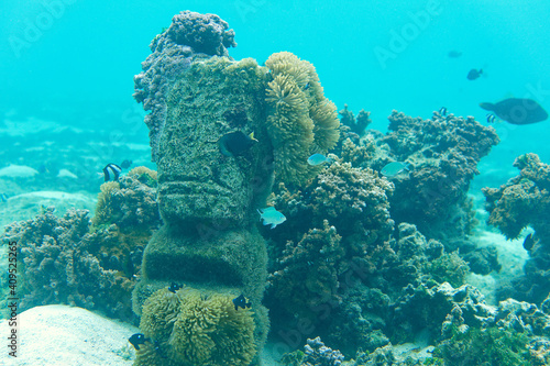 statut (tiki) aquatique dans le lagon de moorea - polynesie francaise.