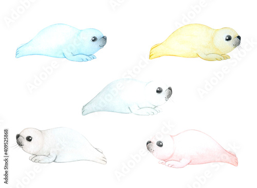 Cute baby seals in different colors. Watercolor illustration on a white background. Cartoon stylized animal character for kids design.