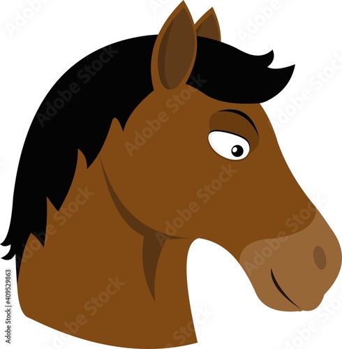 Vector illustration of the face of a horse cartoon