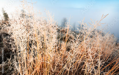 Frozen grass against the backdrop of a beautiful sky and fluffy fog
