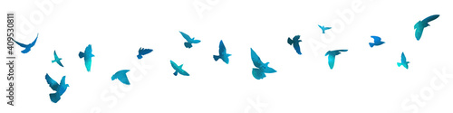 Bird watercolor. A flock of blue birds. Mixed media. Vector illustration