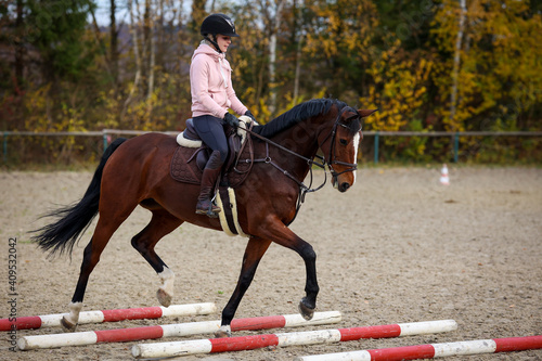 Cuadro en lienzo Horse and rider during training with trotting poles, horse lifts its front leg over the pole