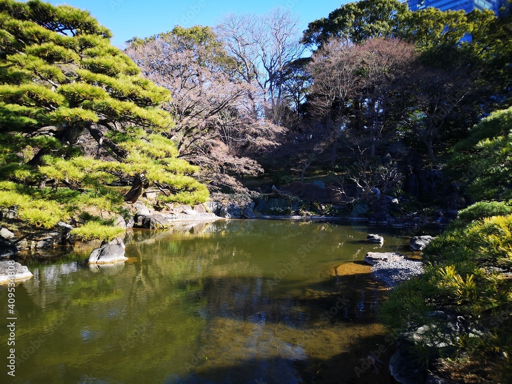 japanese gardens trees water reflection japanese gardens trees water reflection