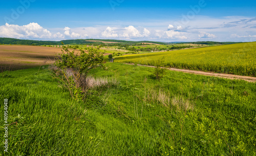 Spring countryside view with dirty road  rapeseed yellow blooming fields  village  hills. Ukraine  Lviv Region.