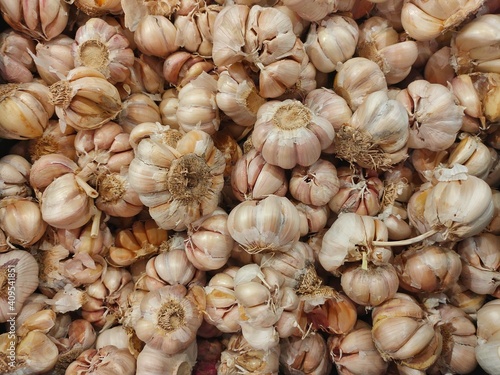 a bunch of fresh garlic