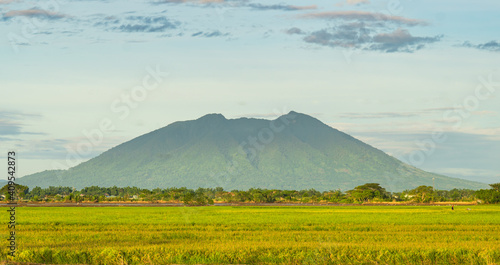 a view of Mount Arayat and it's vast rice field in the Philippines