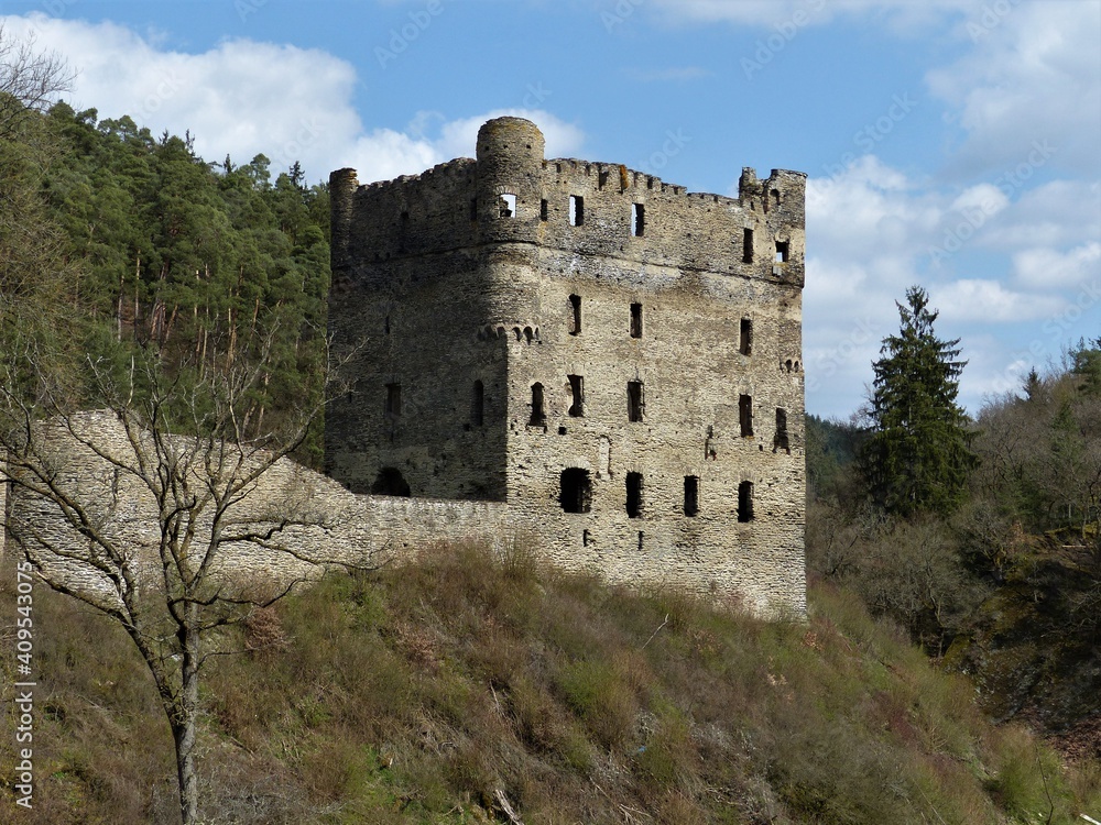 Ruinen der Burg Balduinseck im Winter bei Buch / Hunsrück