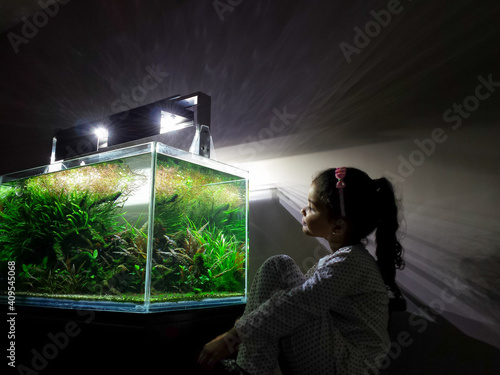 Girl enjoying aquarium in his house at night	
