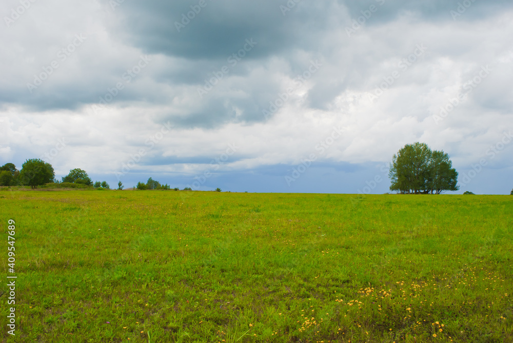 summer meadow on the background of the sky with clouds summer meadow on the background of the sky with clouds