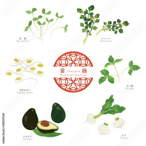 薬膳食材の手描きイラスト/香味野菜