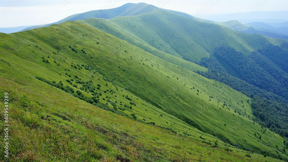 bright green slopes of the mountain range are covered with fresh green grass, alpine bushes, and forest in spring and summer. mountain landscape