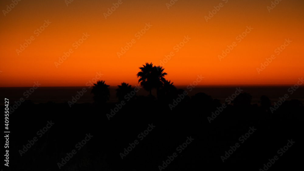 Arroyo Grande California Sunset Palm Trees