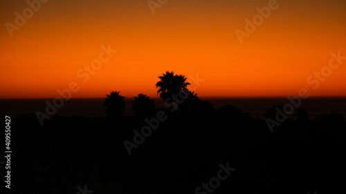 Arroyo Grande California Sunset Palm Trees