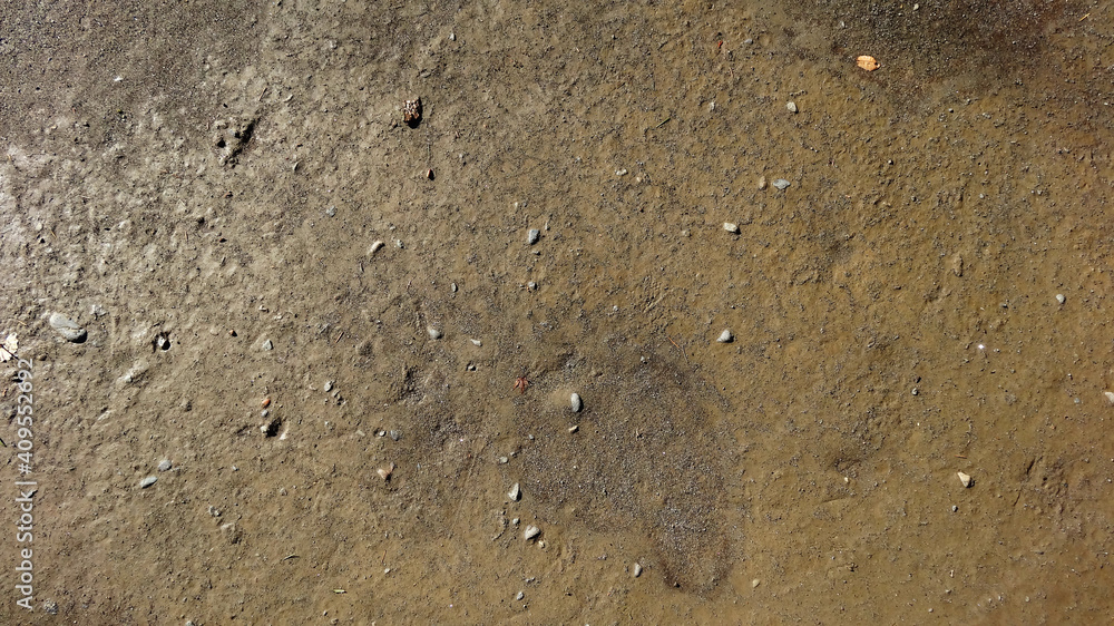 Fototapeta premium 雨上がりの小石のあるグラウンド