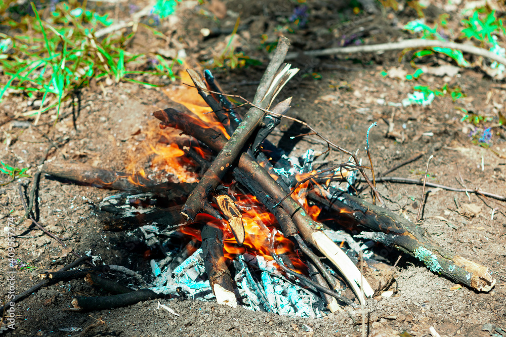 Burning wood of campfire . Picnic in the forest Burning wood of campfire . Picnic in the forest
