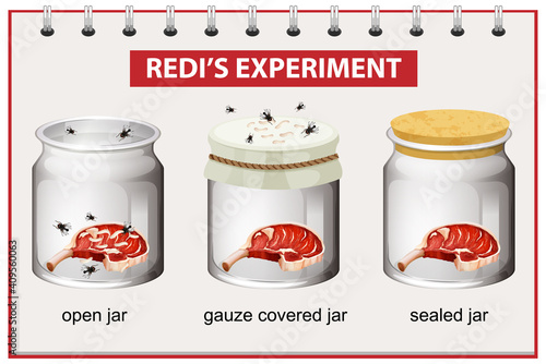 Redi's Experiment diagram for education