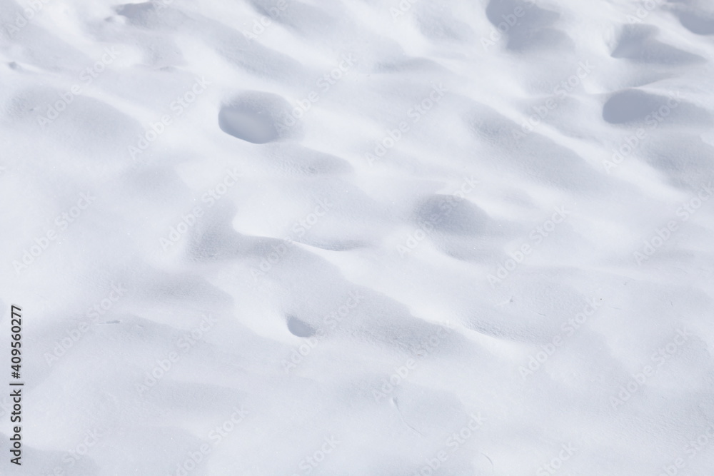 Obraz premium 雪に覆われた大地