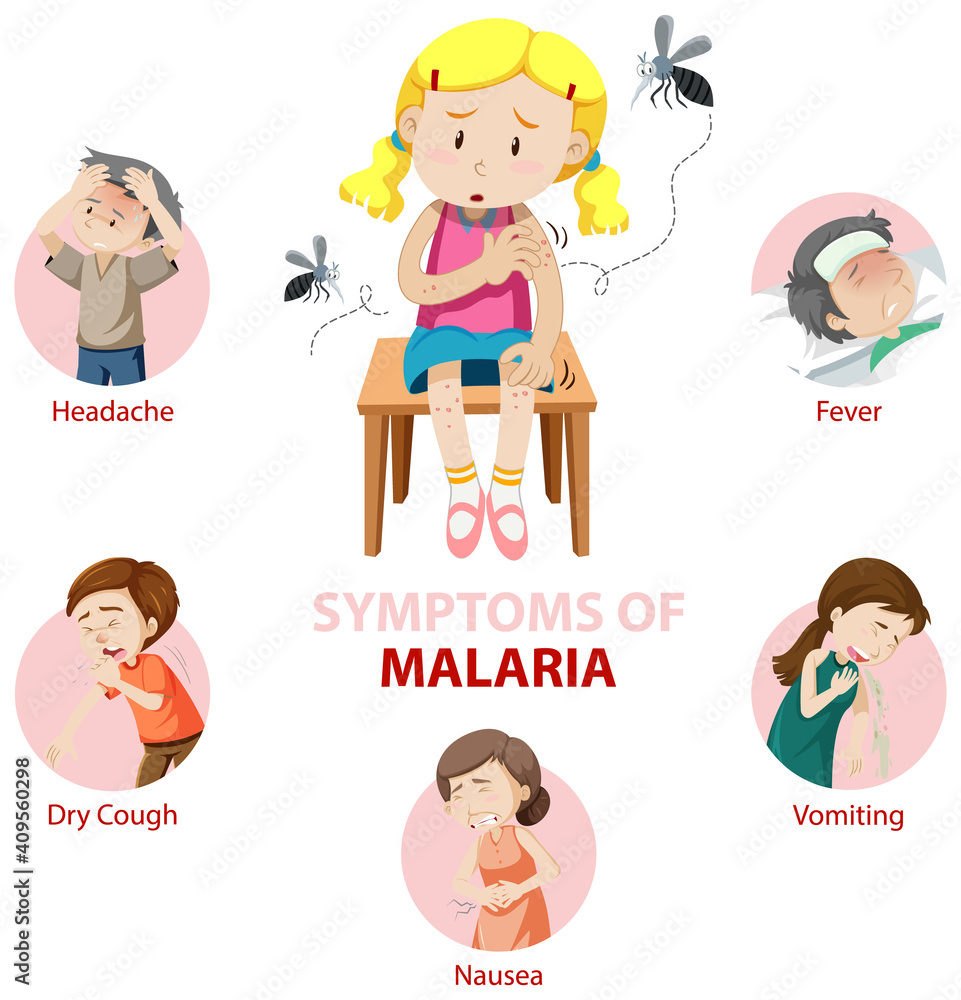 Malaria symptom information infographic Stock Vector Adobe Stock Malaria symptom information infographic Stock Vector Adobe Stock