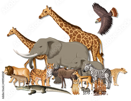 Fototapeta Naklejka Na Ścianę i Meble -  Group of wild African animals on white background