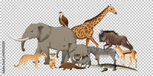 Group of wild african animal on transparent background