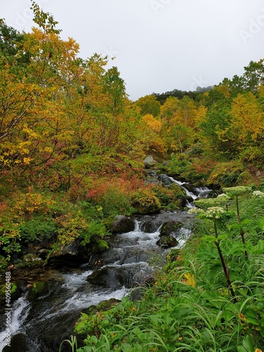 waterfall in autumn