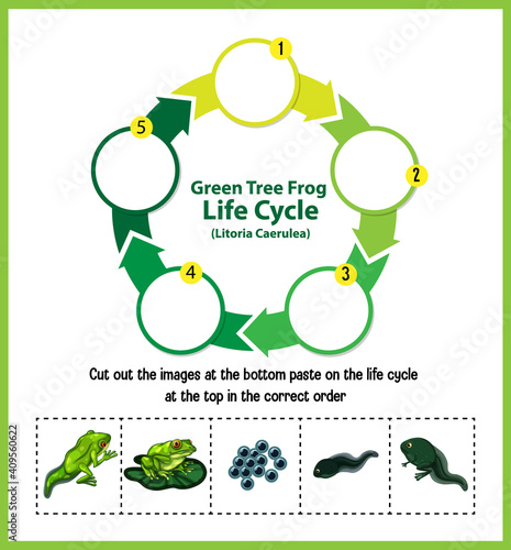 Diagram showing life cycle of Frog