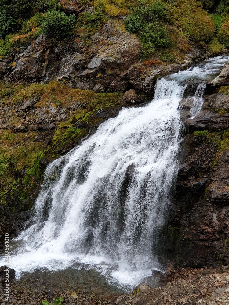 waterfall in the forest