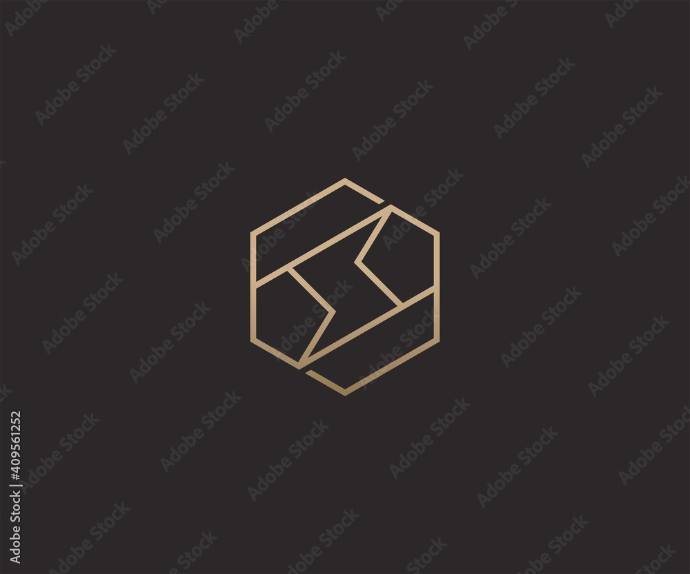 Abstract luxury thunder logo design template Abstract luxury thunder logo design template