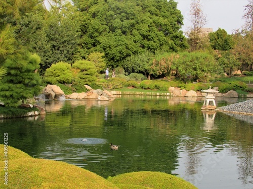 A Koi fish pond located inside a large Japanese garden park in Phoenix, Arizona 