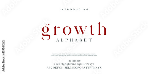 Serif classic design font vector illustration of alphabet letters.