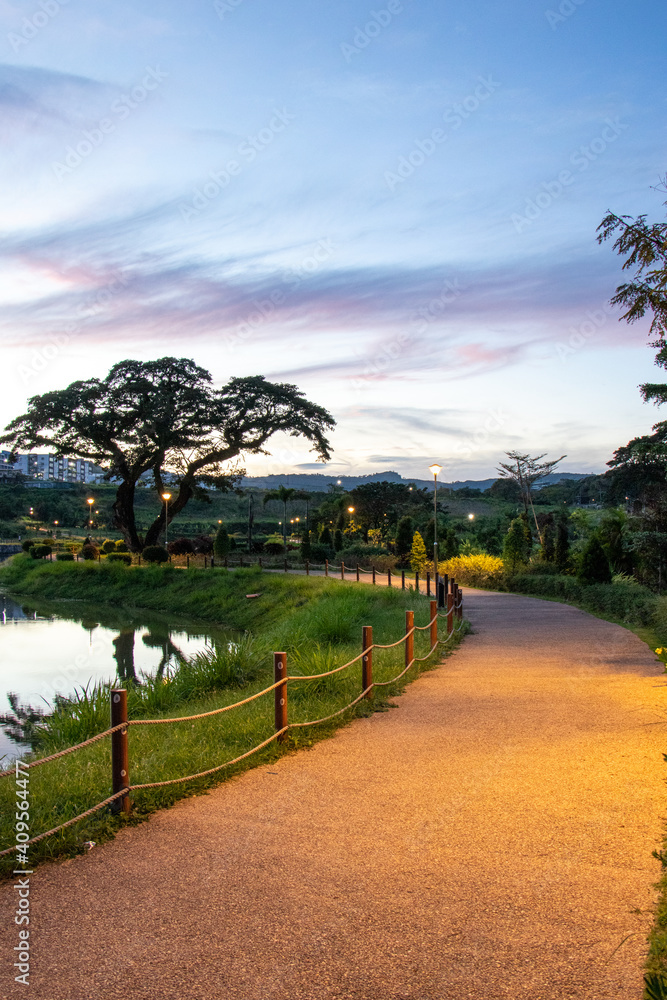 Wide pedestrian walkway and single acacia tree by pond in lush park with beautiful dramatic sky above after sunset - Pampanga, Luzon, Philippines Wide pedestrian walkway and single acacia tree by pond in lush park with beautiful dramatic sky above after sunset - Pampanga, Luzon, Philippines