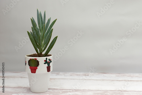 Small decorated potted plant on wood and gray background