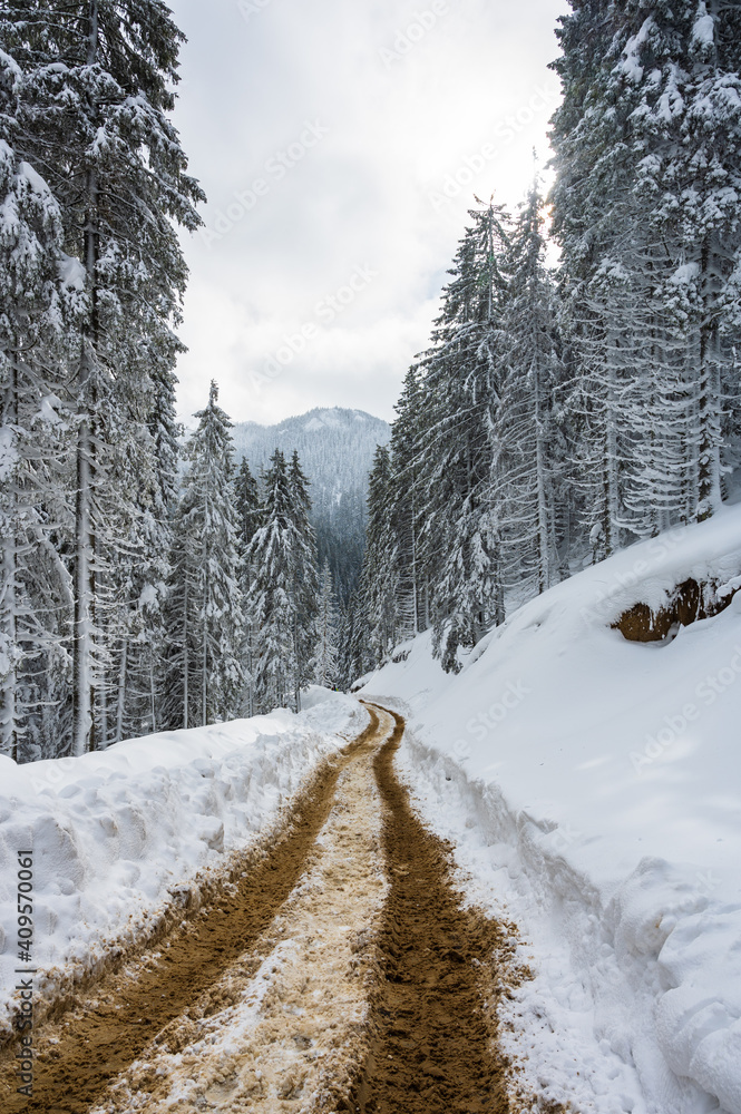 snow covered road in the forest of Ciucas mountains in Romania during winter