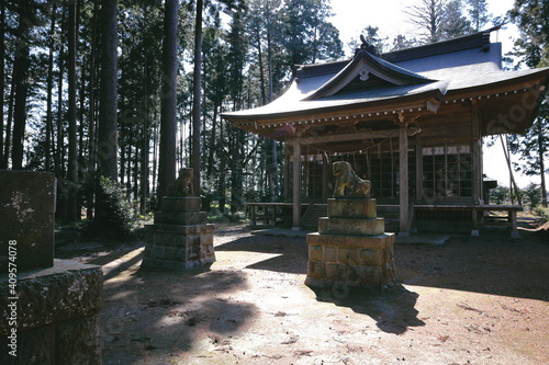 狛犬と神社