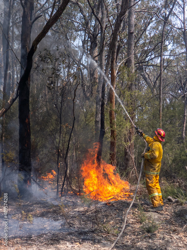 firefighter hosting down trees at a bushfire in Australia