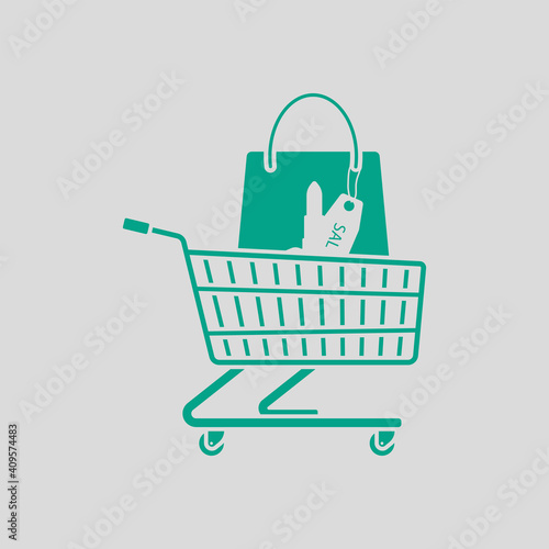 Shopping Cart With Bag Of Cosmetics Icon