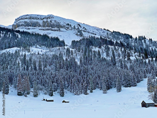 Ice winter atmosphere with fresh snow on the alpine peak Chäserrugg (Chaeserrugg or Chaserrugg) in Churfirsten mountain range and in the Obertoggenburg region, Wildhaus - Switzerland (Schweiz) photo