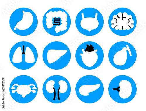 ビビッドな青の12種類の内臓アイコン