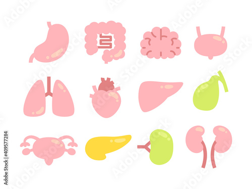 12種類の内臓
