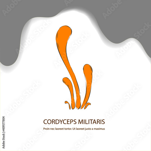 Hand drawn Cordyceps militaris medical mushroom for healthy eating with white background vector illustration photo