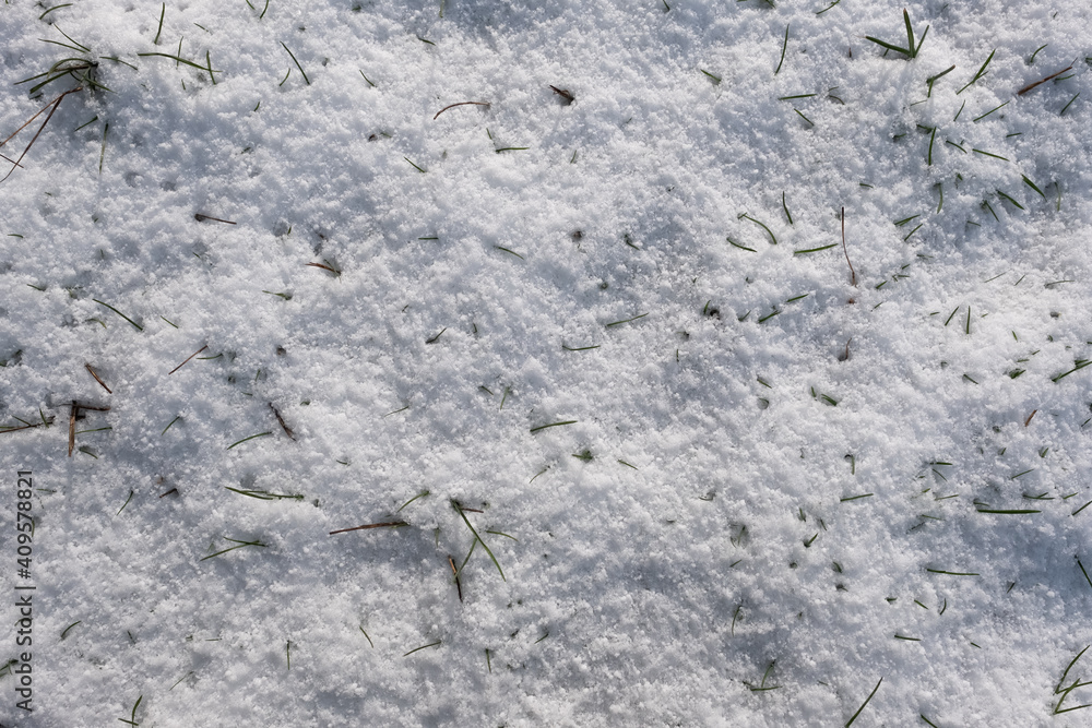 Closeup Image of Grass Blades After Snowfall
