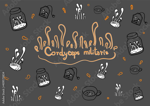 Cordyceps militaris medical mushroom for healthy eating, hand drawn of teabags, pupa, tea cup, mushroom growth in glass,with white background vector illustration