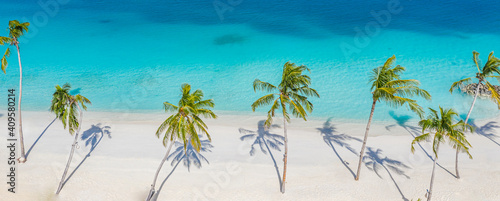 Fototapeta Naklejka Na Ścianę i Meble -  Aerial paradise scenery. Tropical aerial landscape, seascape with palm leaves shadows amazing sea and lagoon beach, tropical nature. Exotic tourism destination banner, summer vacation