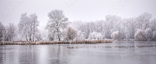 Fotografie, Obraz Frozen lake in snowy forest landscape